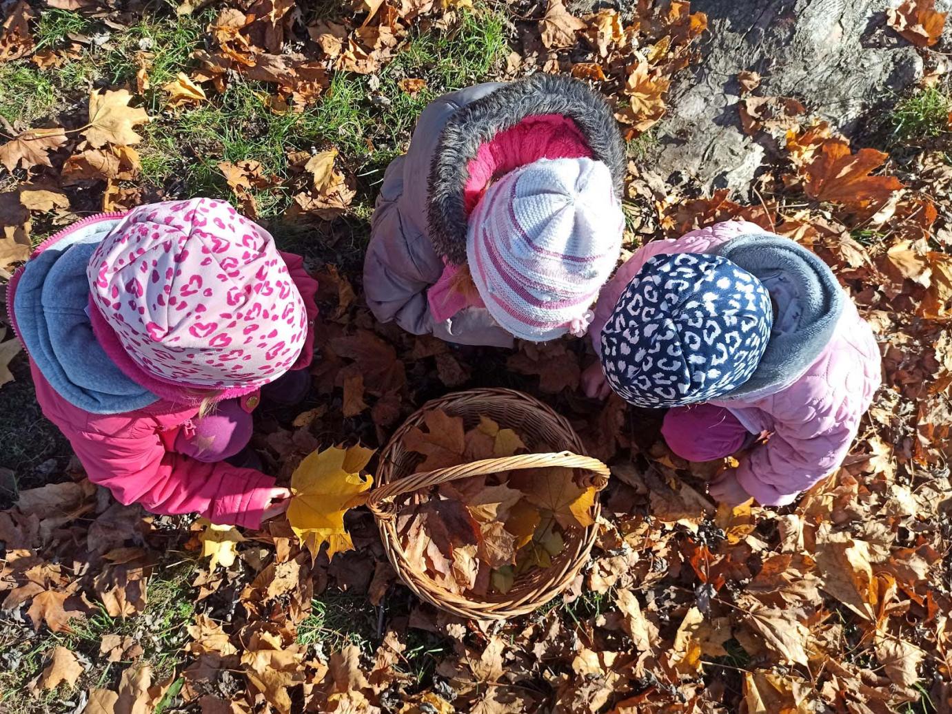 gyerekek faleveleket gyűjtenek